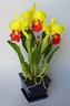 Orchidées Cattleya jaunes et rouges [ref. 73]