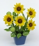 Sunflowers [ref. 179]