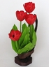 Tulipes [ref. 132]