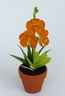 Vanda Orchid [ref. 171]