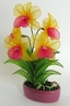 Cattleya Orchid [ref. 43]