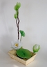 Ikebana with Lotus [ref. 77]