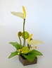 Ikebana avec Anthuriums blancs [ref. 208]