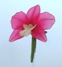Broche avec Orchidée Cattleya [ref. 58]