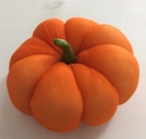 Pumpkin [ref. 239]