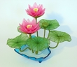 2 pink Lotus [ref. 31]