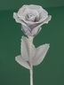 Silver Rose [ref. 49]