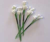 Small flower, white
