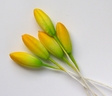 Lily Bud S, Yellow