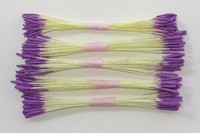 Purple Stamen, long