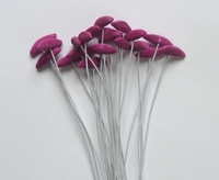 "Lily" Stamen, Purple
