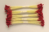 Red Stamen, long