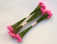 Long Stamen, Pink