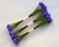 Long Stamen, Purple