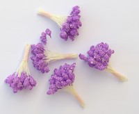 Étamine "boule" violette
