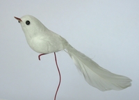 White Bird, small