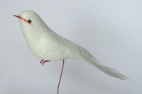 Oiseau blanc, moyen