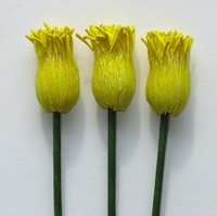 Nénuphar 20mm, jaune/jaune