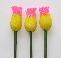 Nénuphar 20mm, jaune/rose