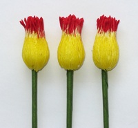 Nénuphar 20mm, jaune/rouge