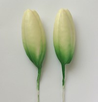 Lily Bud L, Green/White